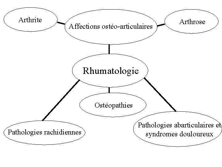 Arthrite Affections ostéo-articulaires Arthrose Rhumatologie Ostéopathies Pathologies rachidiennes Pathologies abarticulaires et syndromes douloureux 
