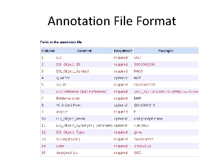 Annotation File Format 