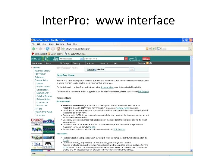 Inter. Pro: www interface 