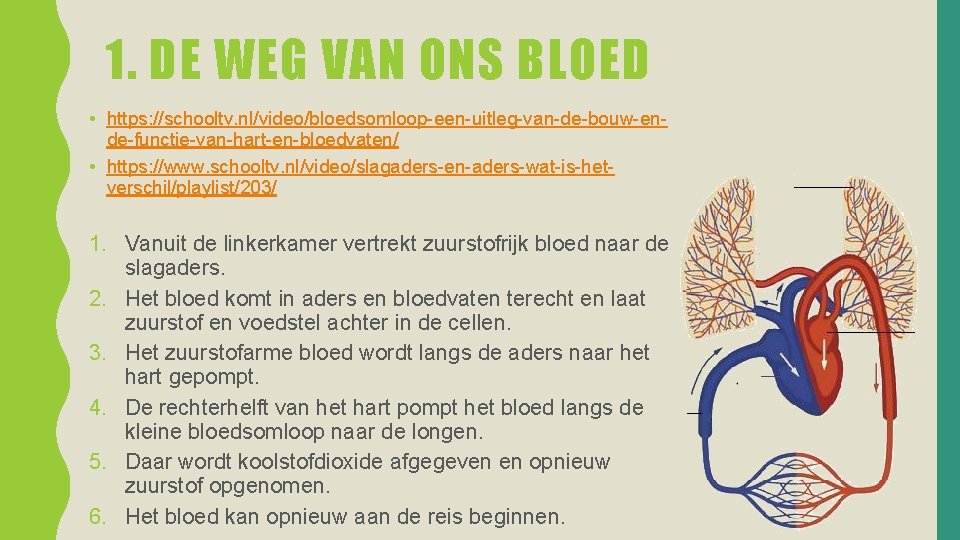 1. DE WEG VAN ONS BLOED • https: //schooltv. nl/video/bloedsomloop-een-uitleg-van-de-bouw-ende-functie-van-hart-en-bloedvaten/ • https: //www. schooltv.