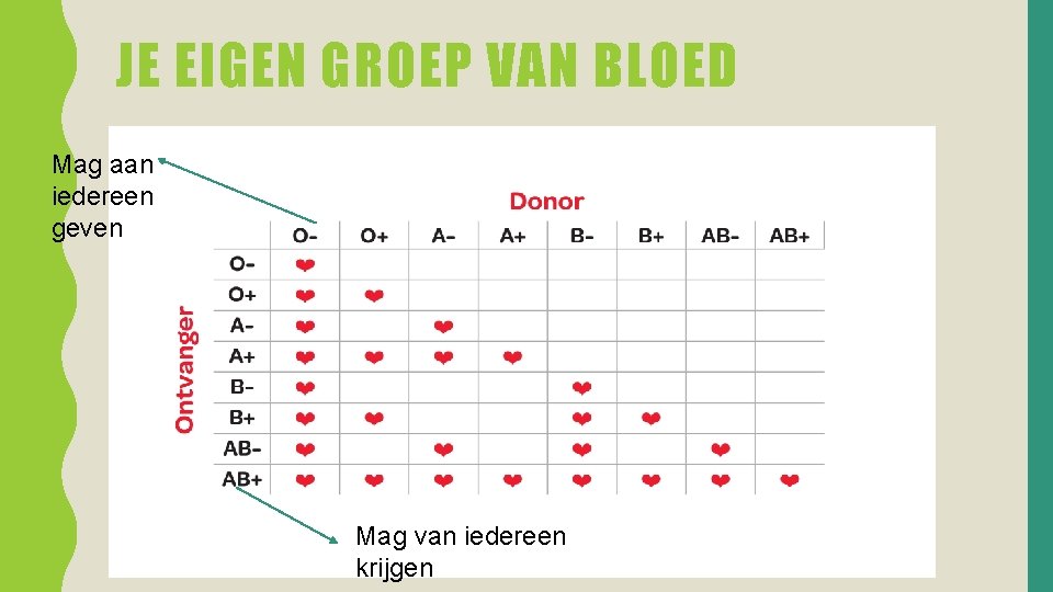 JE EIGEN GROEP VAN BLOED Mag aan iedereen geven Mag van iedereen krijgen 