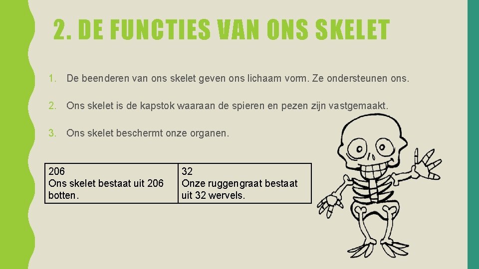 2. DE FUNCTIES VAN ONS SKELET 1. De beenderen van ons skelet geven ons