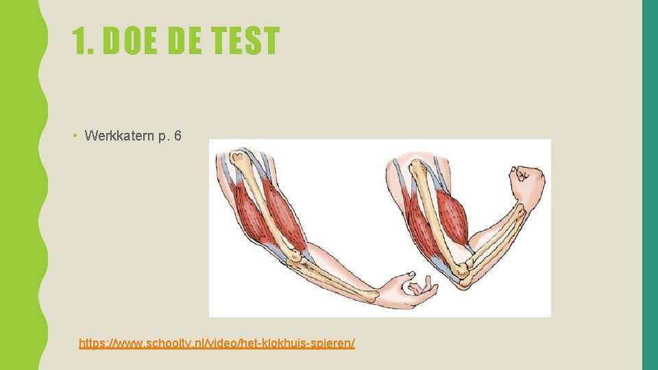 1. DOE DE TEST • Werkkatern p. 6 https: //www. schooltv. nl/video/het-klokhuis-spieren/ 