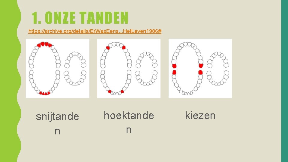 1. ONZE TANDEN https: //archive. org/details/Er. Was. Eens. . . Het. Leven 1986# snijtande