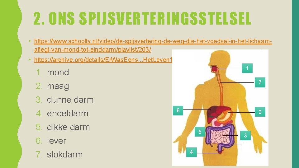 2. ONS SPIJSVERTERINGSSTELSEL • https: //www. schooltv. nl/video/de-spijsvertering-de-weg-die-het-voedsel-in-het-lichaamaflegt-van-mond-tot-einddarm/playlist/203/ • https: //archive. org/details/Er. Was. Eens.