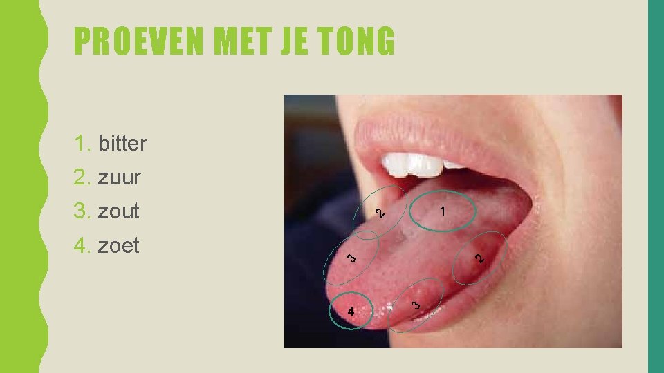 PROEVEN MET JE TONG 1. bitter 2. zuur 3. zout 4. zoet 1 2