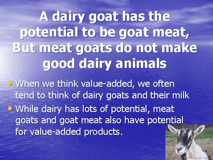 A dairy goat has the potential to be goat meat, But meat goats do