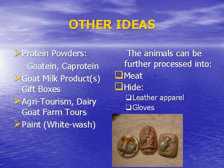 OTHER IDEAS ØProtein Powders: Goatein, Caprotein ØGoat Milk Product(s) Gift Boxes ØAgri-Tourism, Dairy Goat