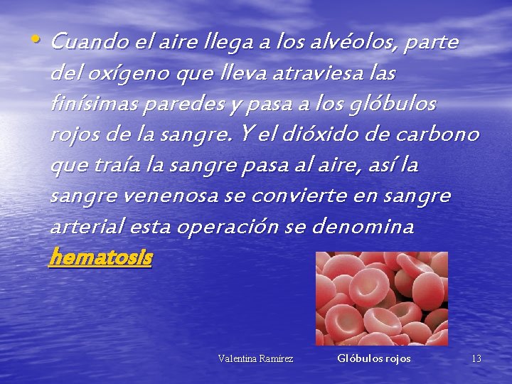  • Cuando el aire llega a los alvéolos, parte del oxígeno que lleva