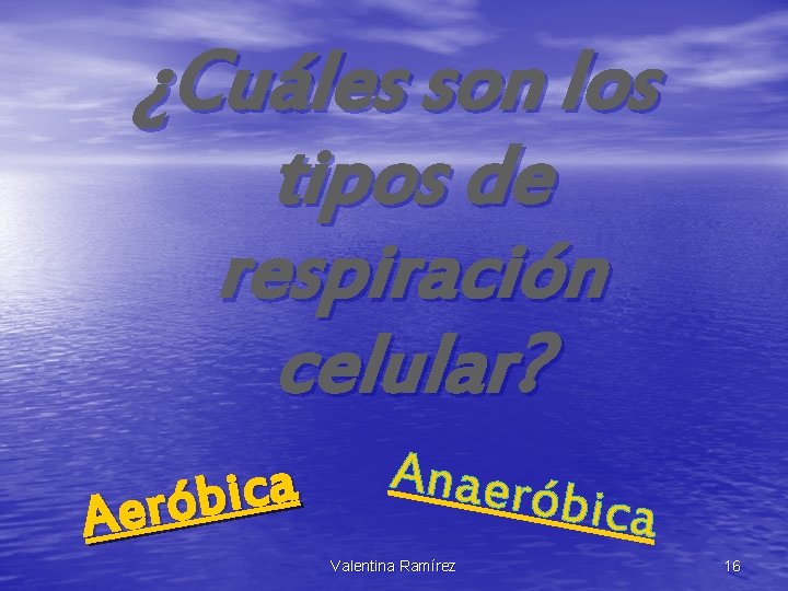 ¿Cuáles son los tipos de respiración celular? a c i b ó r e