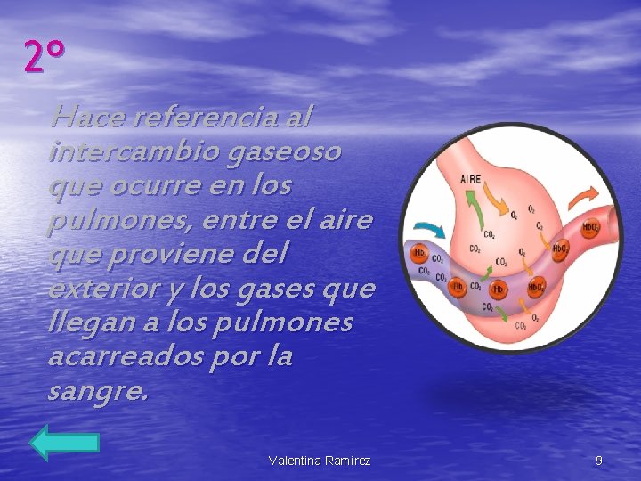 2º Hace referencia al intercambio gaseoso que ocurre en los pulmones, entre el aire