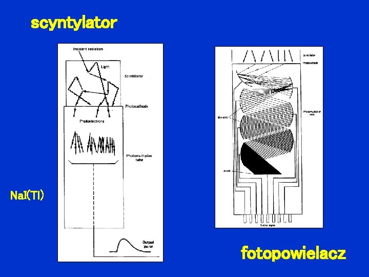 scyntylator Na. I(Tl) fotopowielacz 