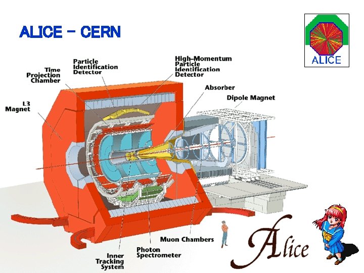 ALICE - CERN 