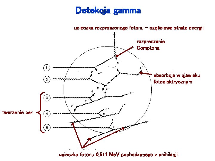 Detekcja gamma ucieczka rozproszonego fotonu – częściowa strata energii rozpraszanie Comptona absorbcja w zjawisku