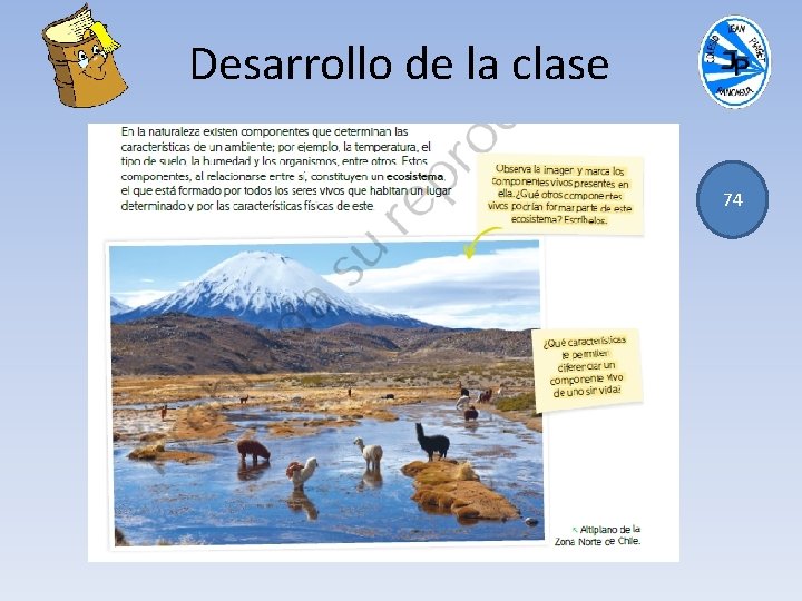 Desarrollo de la clase 74 