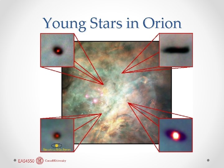 Young Stars in Orion 