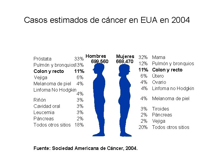 Casos estimados de cáncer en EUA en 2004 Próstata 33% Pulmón y bronquios 13%