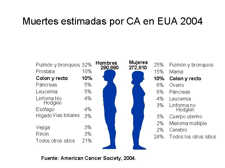 Muertes estimadas por CA en EUA 2004 Pulmón y bronquios Prostata Colon y recto