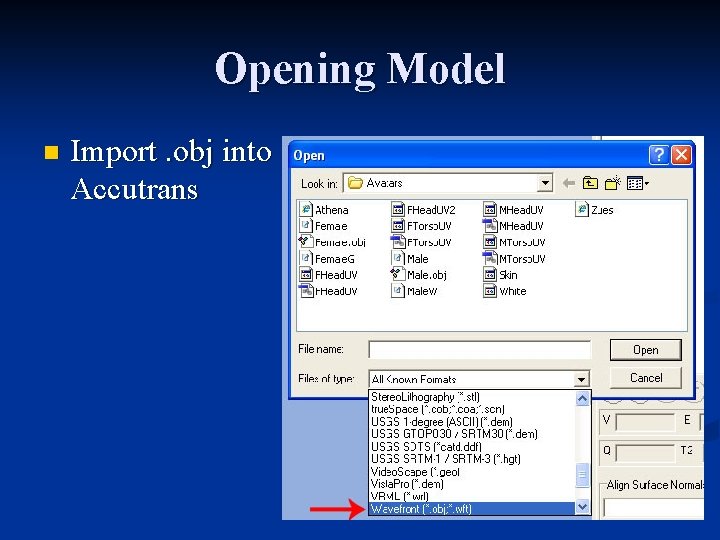 Opening Model n Import. obj into Accutrans 