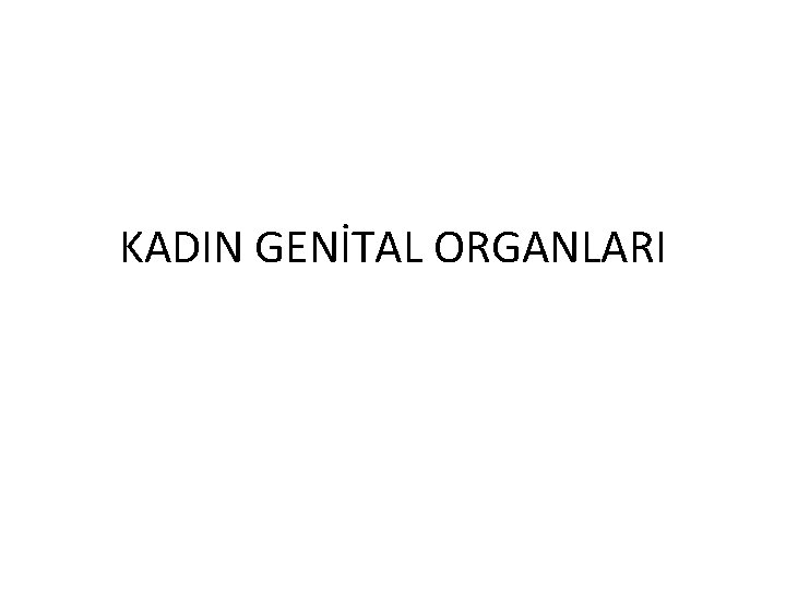 KADIN GENİTAL ORGANLARI 