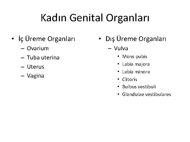 Kadın Genital Organları • İç Üreme Organları – – Ovarium Tuba uterina Uterus Vagina