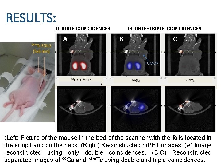 RESULTS: DOUBLE COINCIDENCES A DOUBLE+TRIPLE COINCIDENCES B C (Left) Picture of the mouse in