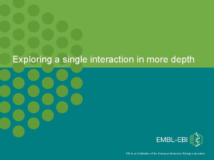 Exploring a single interaction in more depth EBI is an Outstation of the European
