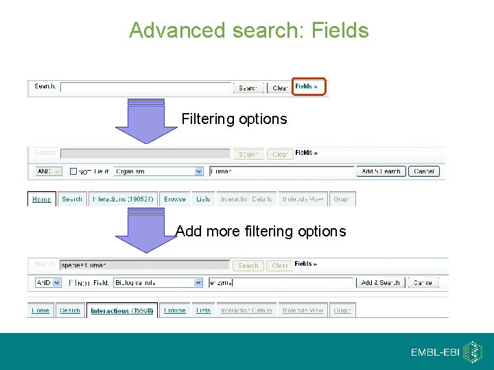 Advanced search: Fields Filtering options Add more filtering options 