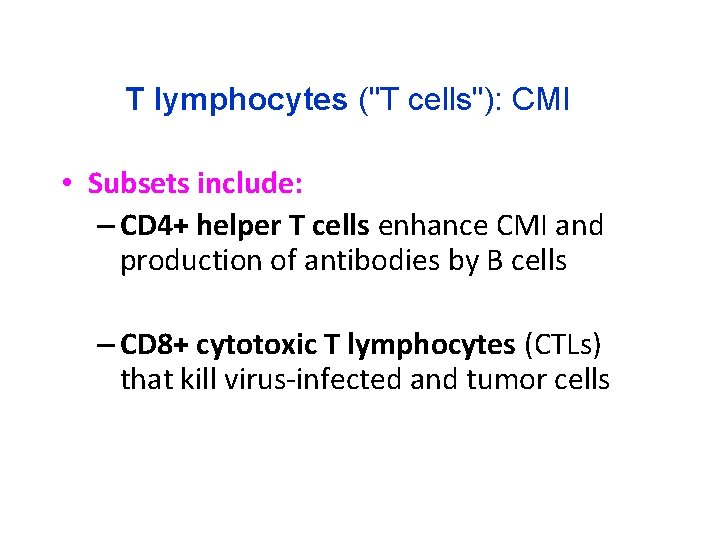 T lymphocytes ("T cells"): CMI • Subsets include: – CD 4+ helper T cells