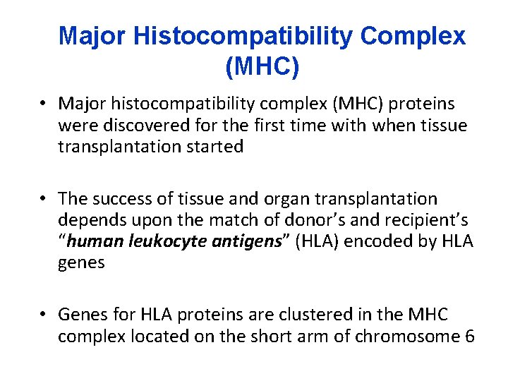 Major Histocompatibility Complex (MHC) • Major histocompatibility complex (MHC) proteins were discovered for the