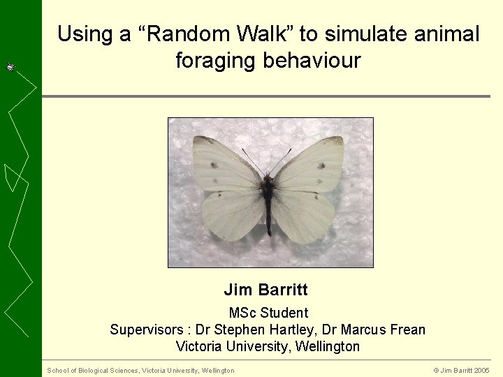 Using a “Random Walk” to simulate animal foraging behaviour Jim Barritt MSc Student Supervisors