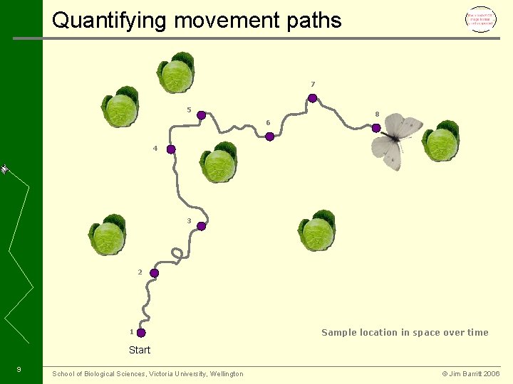 Quantifying movement paths 7 5 6 8 4 3 2 1 Sample location in