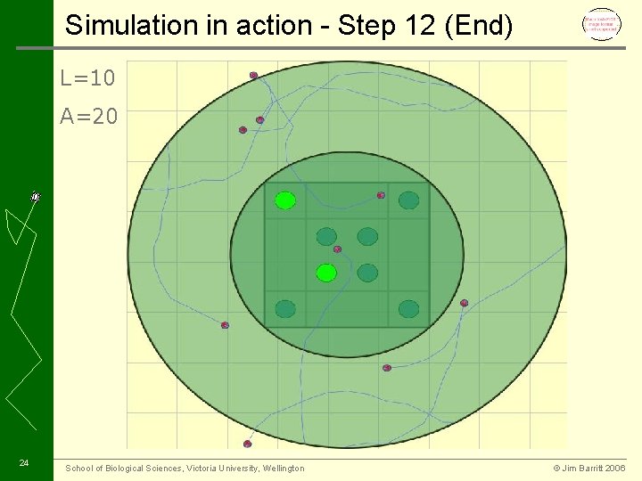 Simulation in action - Step 12 (End) L=10 A=20 24 School of Biological Sciences,