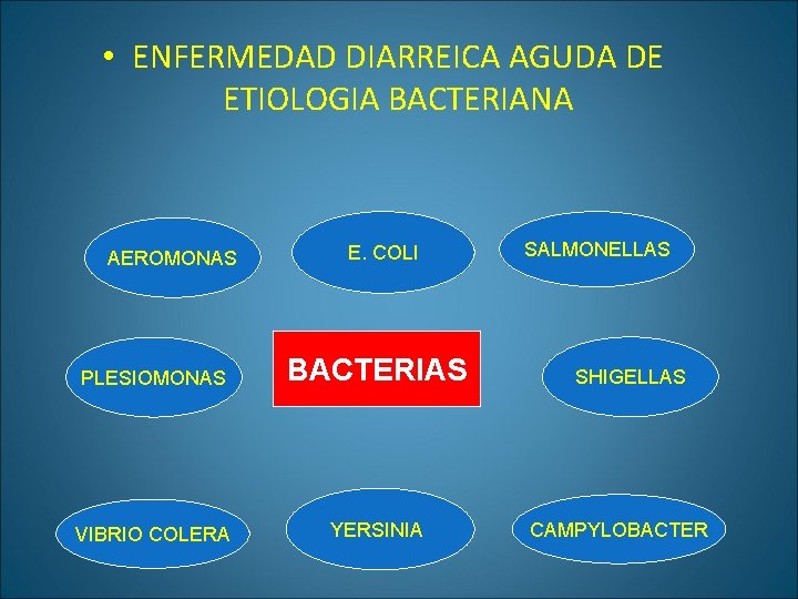  • ENFERMEDAD DIARREICA AGUDA DE ETIOLOGIA BACTERIANA AEROMONAS E. COLI PLESIOMONAS BACTERIAS VIBRIO