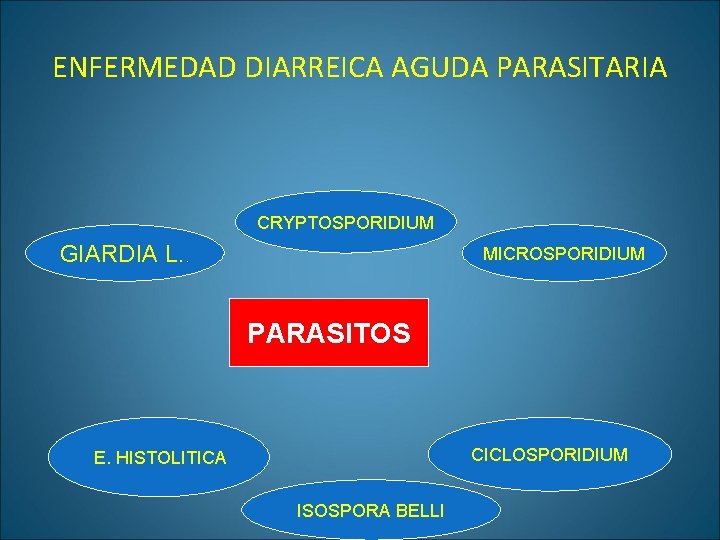 ENFERMEDAD DIARREICA AGUDA PARASITARIA CRYPTOSPORIDIUM GIARDIA L. . MICROSPORIDIUM PARASITOS CICLOSPORIDIUM E. HISTOLITICA ISOSPORA