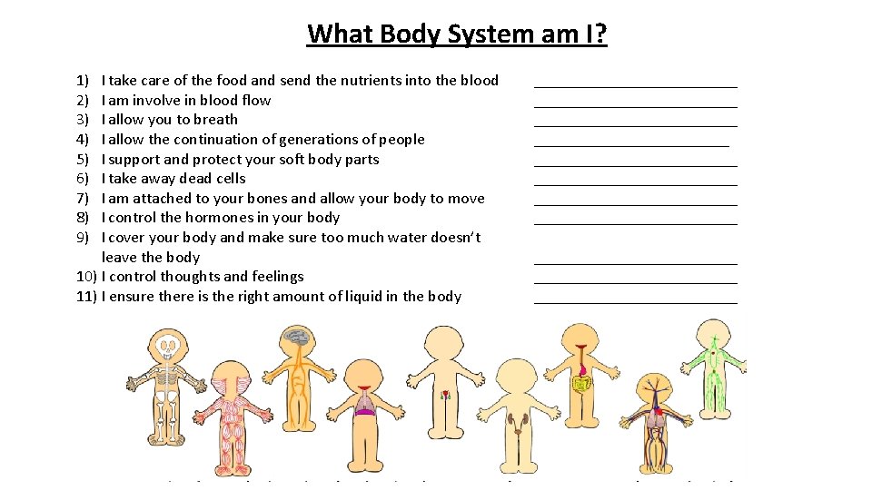 What Body System am I? 1) 2) 3) 4) 5) 6) 7) 8) 9)