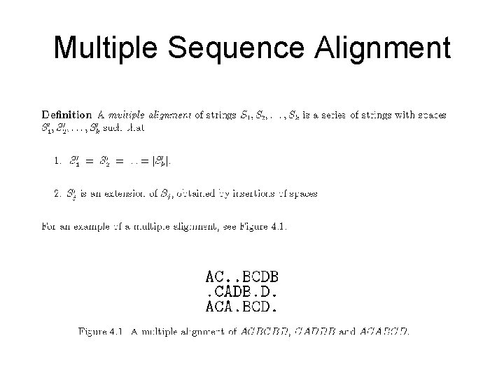 Multiple Sequence Alignment 