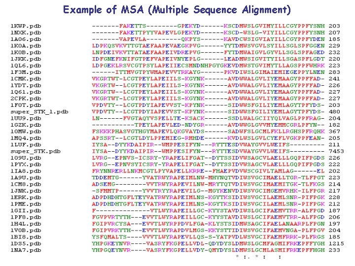 Example of MSA (Multiple Sequence Alignment) 