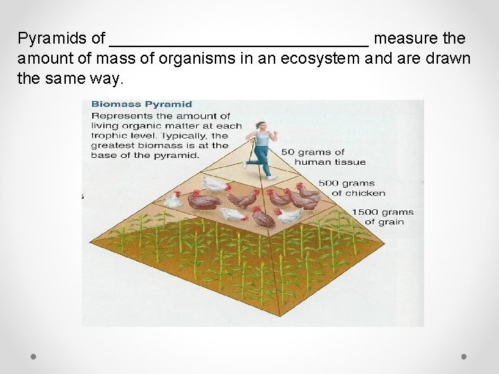 Pyramids of ______________ measure the amount of mass of organisms in an ecosystem and