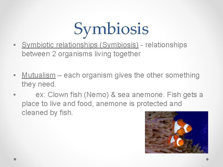 Symbiosis • Symbiotic relationships (Symbiosis) - relationships between 2 organisms living together • Mutualism