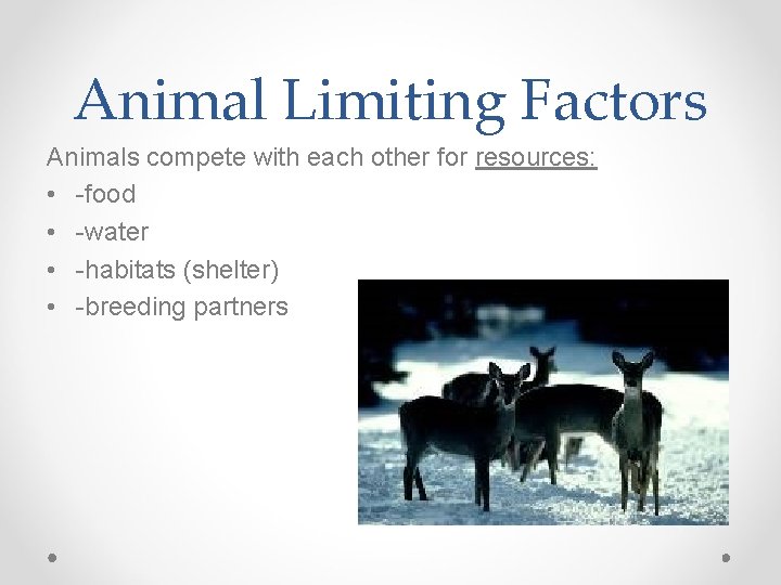 Animal Limiting Factors Animals compete with each other for resources: • -food • -water