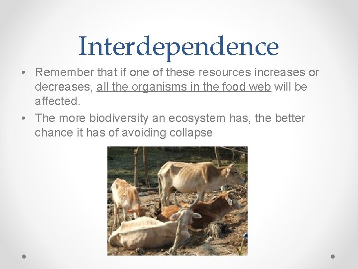 Interdependence • Remember that if one of these resources increases or decreases, all the