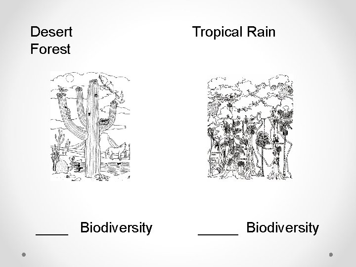 Desert Forest ____ Biodiversity Tropical Rain _____ Biodiversity 