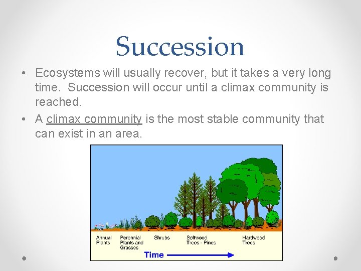 Succession • Ecosystems will usually recover, but it takes a very long time. Succession