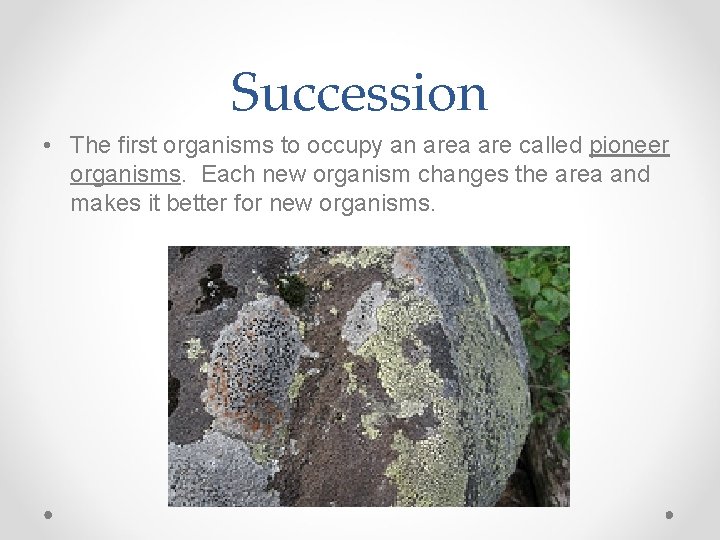 Succession • The first organisms to occupy an area are called pioneer organisms. Each