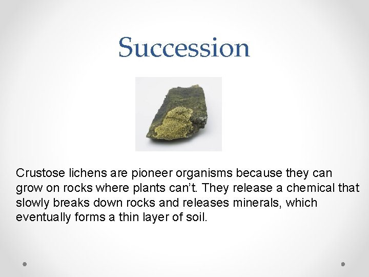 Succession Crustose lichens are pioneer organisms because they can grow on rocks where plants