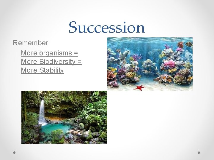 Succession Remember: More organisms = More Biodiversity = More Stability 