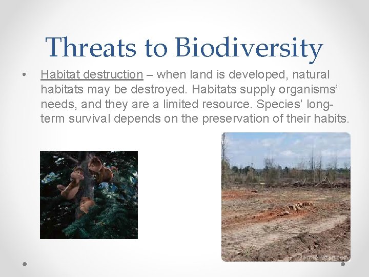 Threats to Biodiversity • Habitat destruction – when land is developed, natural habitats may