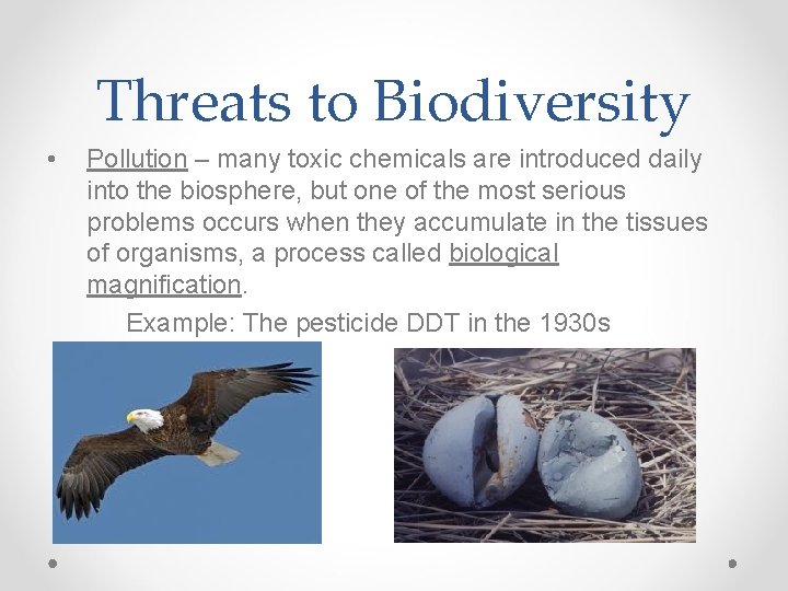 Threats to Biodiversity • Pollution – many toxic chemicals are introduced daily into the