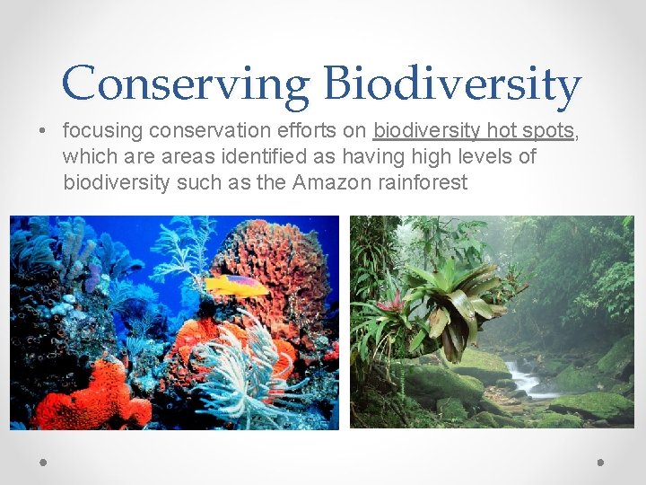 Conserving Biodiversity • focusing conservation efforts on biodiversity hot spots, which areas identified as